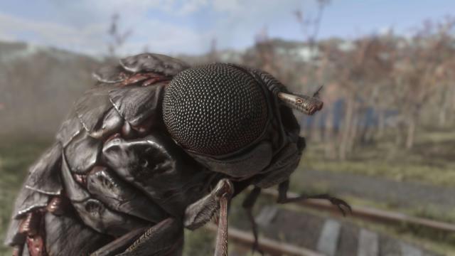 HD   CC's UHD Bloatflies