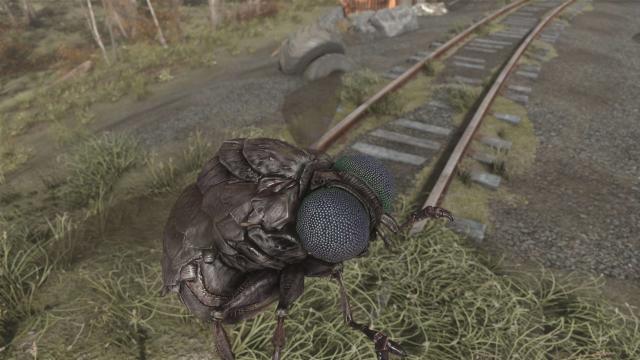 HD Дутни / CC's UHD Bloatflies для Fallout 4