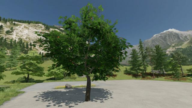 Placeable Apple Tree