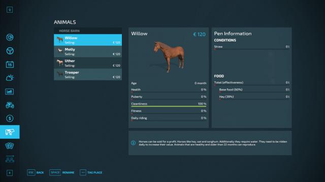 Horsehelper