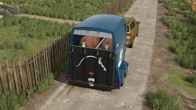 Boeckmann BigMaster WesternWCF для Farming Simulator 25