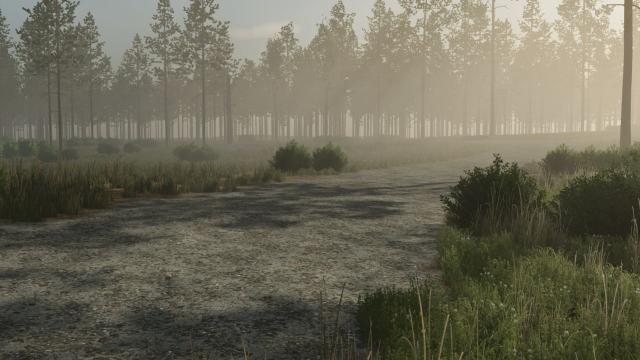 Pinewood Forest для Farming Simulator 25
