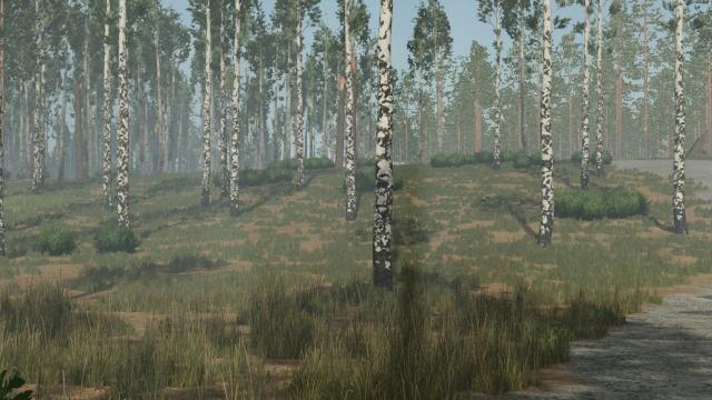Pinewood Forest для Farming Simulator 25