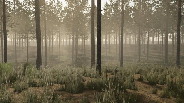 Pinewood Forest для Farming Simulator 25