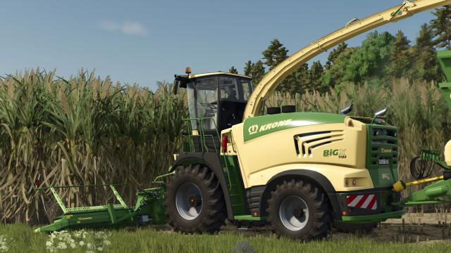 X-Collect 900 (poplar and sugar cane version)