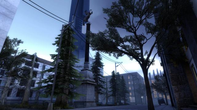 City 9