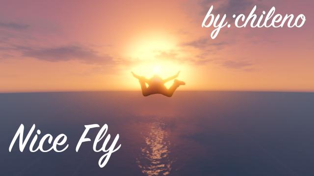 Nice Fly