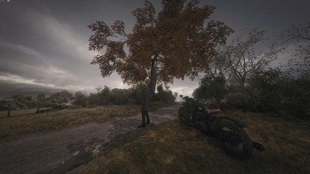 Увеличенный угол обзора / Hitman 3 FOV Change