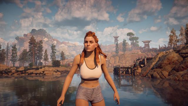 Спортивное одеяние Элой / Casual Outfit for Aloy для Horizon Zero Dawn