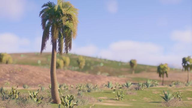 Зеленая трава в пустыне / Greener Grass - San Diego and Desert Maps