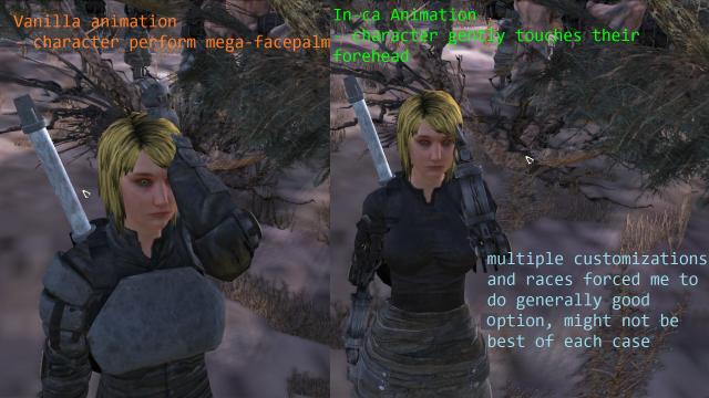 Immersive non-combat animations (IN-CA)