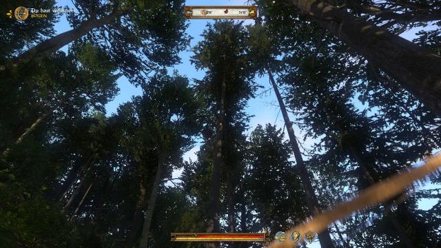 Shooting Nests Gives XP