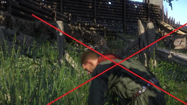 First-person Herb Picking