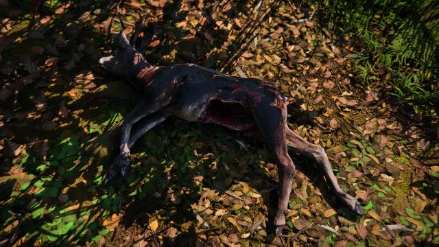 CRT - Animals Texture 2K for Kingdom Come: Deliverance 2