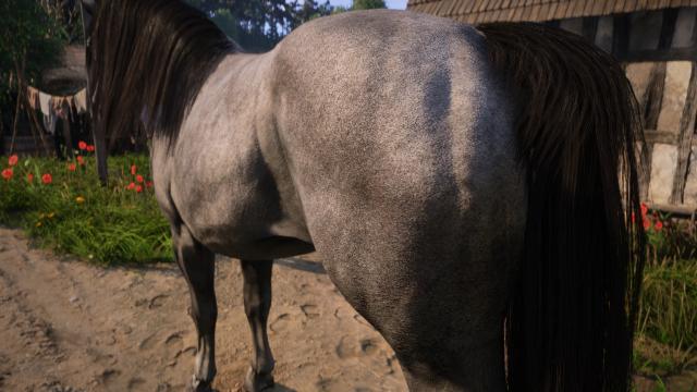 CRT - Animals Texture 2K