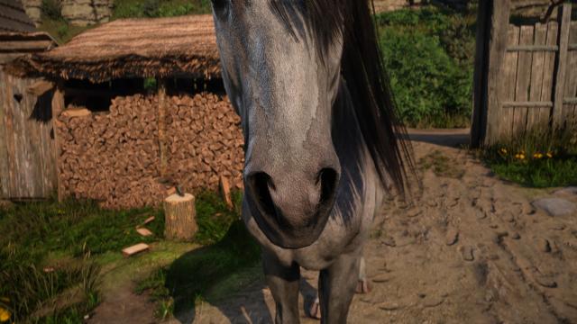 CRT - Animals Texture 2K for Kingdom Come: Deliverance 2