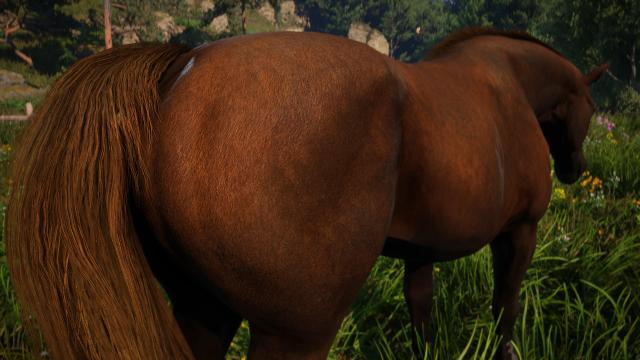 CRT - Animals Texture 2K for Kingdom Come: Deliverance 2