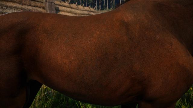 CRT - Animals Texture 2K for Kingdom Come: Deliverance 2