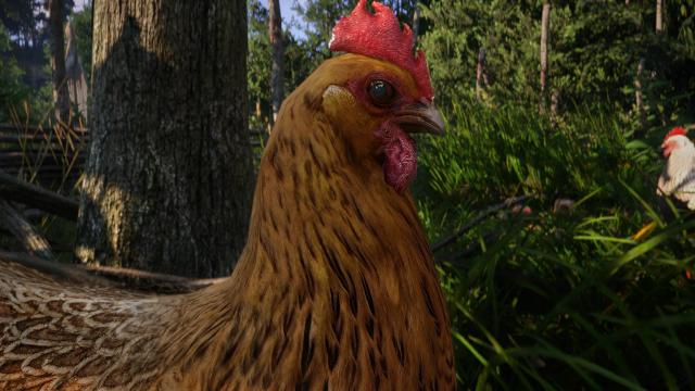 CRT - Animals Texture 2K for Kingdom Come: Deliverance 2