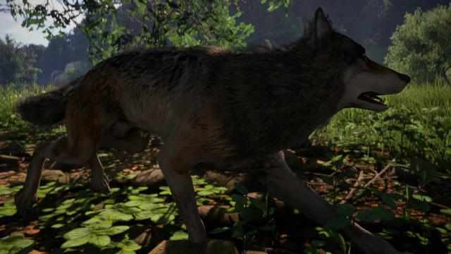 CRT - Animals Texture 2K for Kingdom Come: Deliverance 2