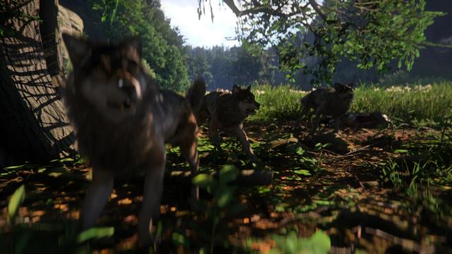 CRT - Animals Texture 2K for Kingdom Come: Deliverance 2