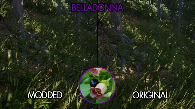 Easy To See Herbs II for Kingdom Come: Deliverance 2