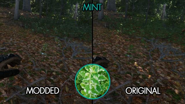 Easy To See Herbs II for Kingdom Come: Deliverance 2