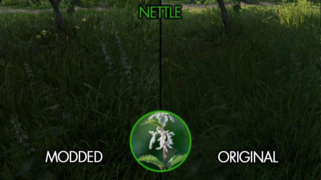 Easy To See Herbs II for Kingdom Come: Deliverance 2