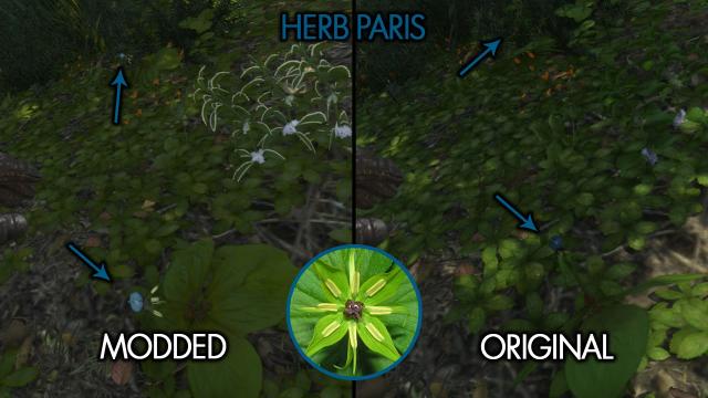Easy To See Herbs II for Kingdom Come: Deliverance 2