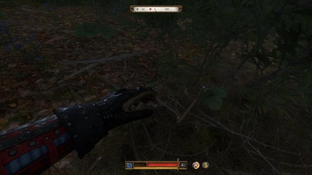 Easy To See Herbs II for Kingdom Come: Deliverance 2