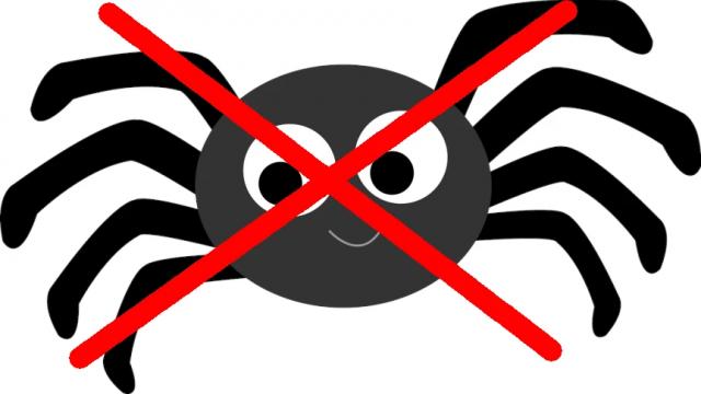 SpidersBegone