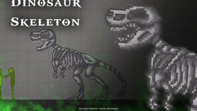 Dinosaur skeleton