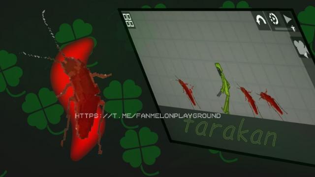 Cockroach