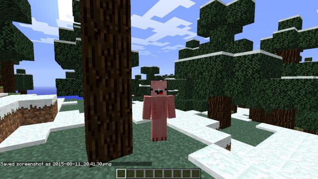 PigBoy для Minecraft
