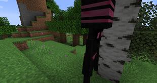 Enderling Invaders для Minecraft