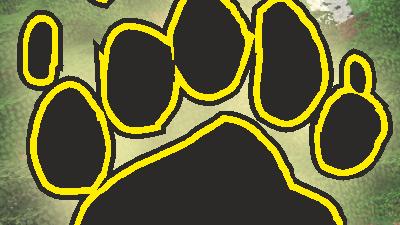 Animalium