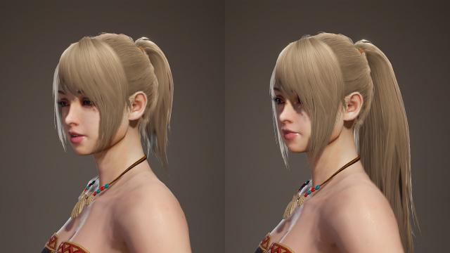 Longer Ponytail Hairstyle