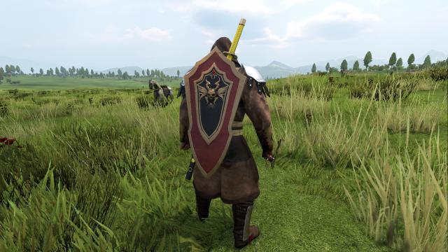 Added a new shield