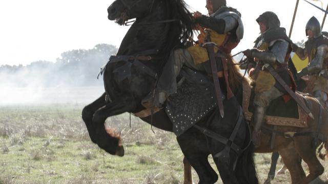 Real Horses