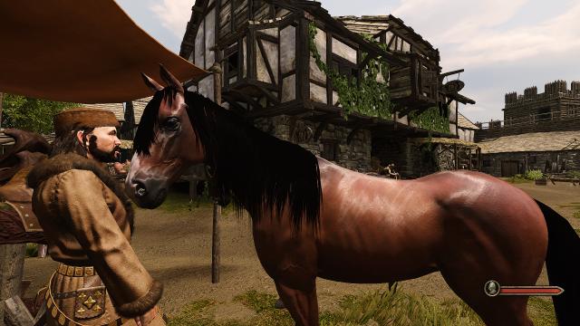 Real Horses for Mount And Blade: Bannerlord