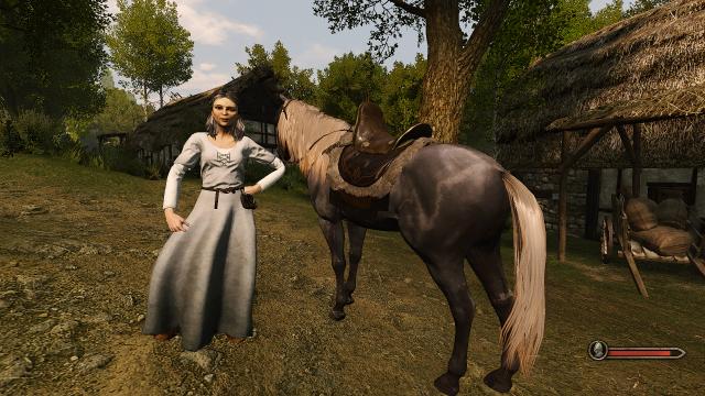 Real Horses for Mount And Blade: Bannerlord