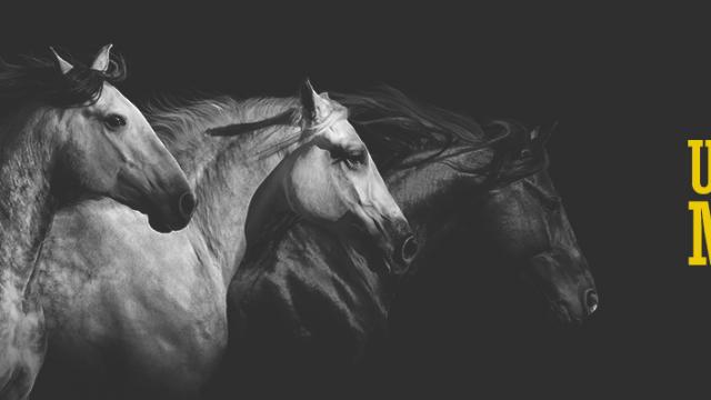 Ultimate Mounts