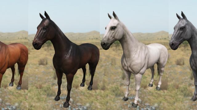 Ultimate Mounts for Mount And Blade: Bannerlord