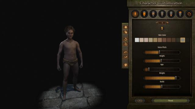 Detailed Character Creation for Mount And Blade: Bannerlord