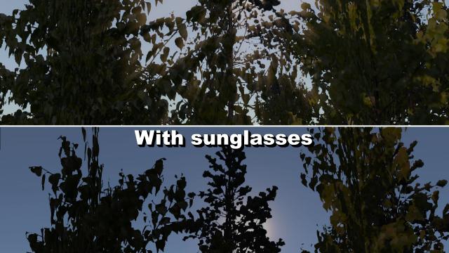Wearable Sunglasses for My summer car