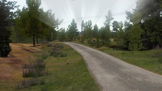 Asphalt Roads Revived для My summer car