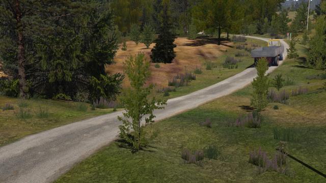 Realistic asphalt road for My summer car