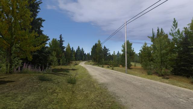 Natural Summer Reshade for My summer car