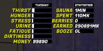Useless Statistics для My summer car