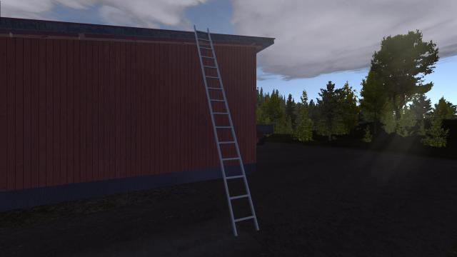 Ladder для My summer car